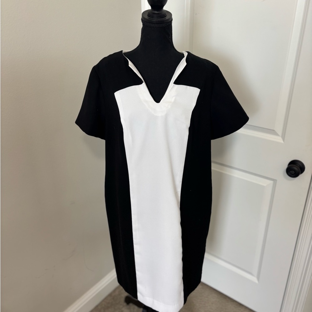 Black and White V-Neck Dress
